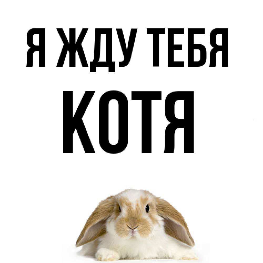 Открытка на каждый день с именем, Котя Я жду тебя подписать своими руками онлайн Прикольная открытка с пожеланием онлайн скачать бесплатно 