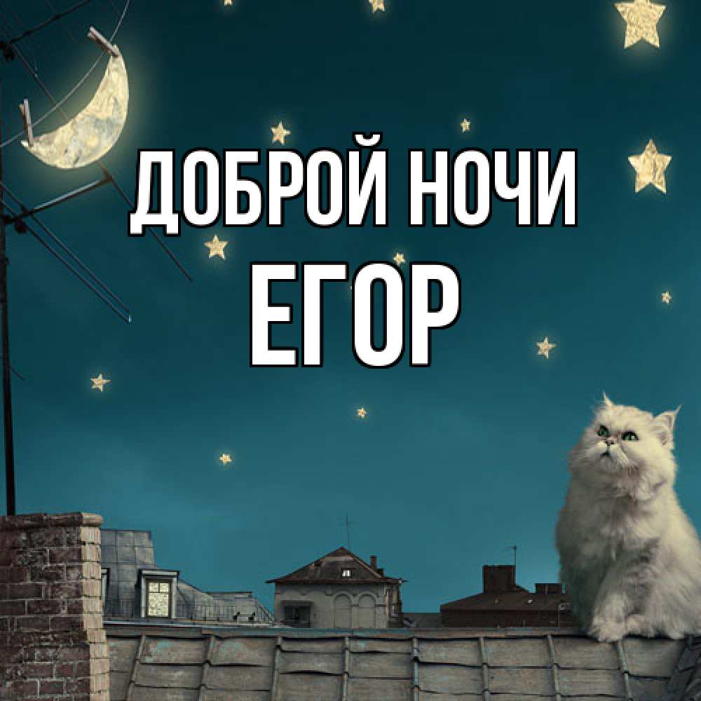 Открытка на каждый день с именем, Егор Доброй ночи белый кот сидит на крыше Прикольная открытка с пожеланием онлайн скачать бесплатно 