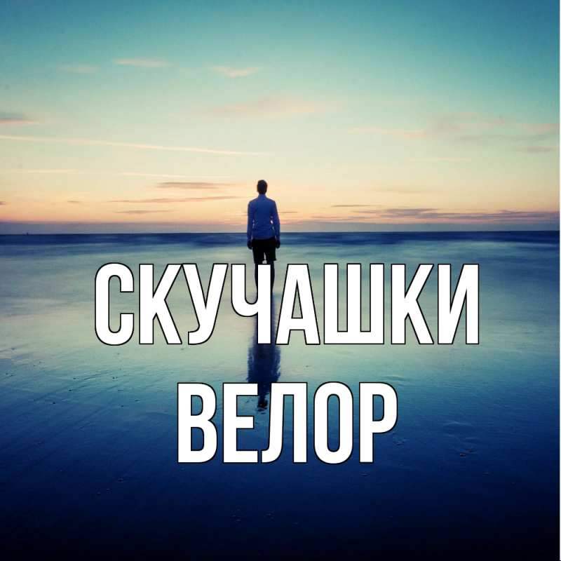 Картинка Скучашки, Велор