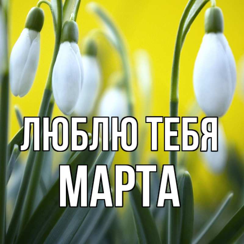Картинка Люблю тебя, Марта