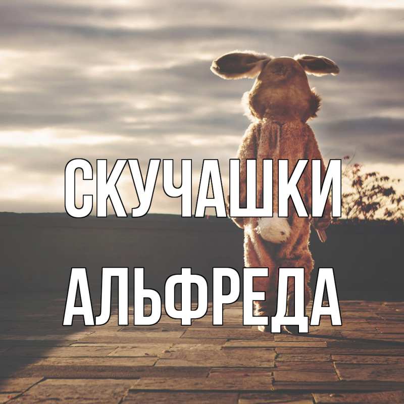 Картинка Скучашки, Альфреда