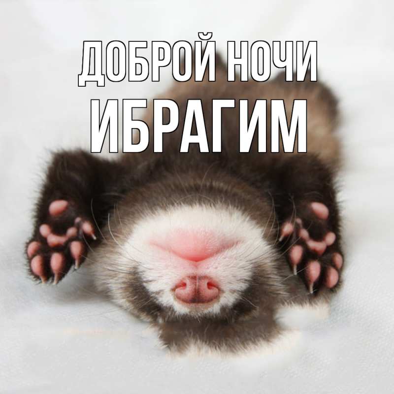 Картинка Доброй ночи, Ибрагим