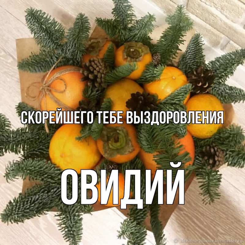 Картинка Скорейшего тебе выздоровления, Овидий