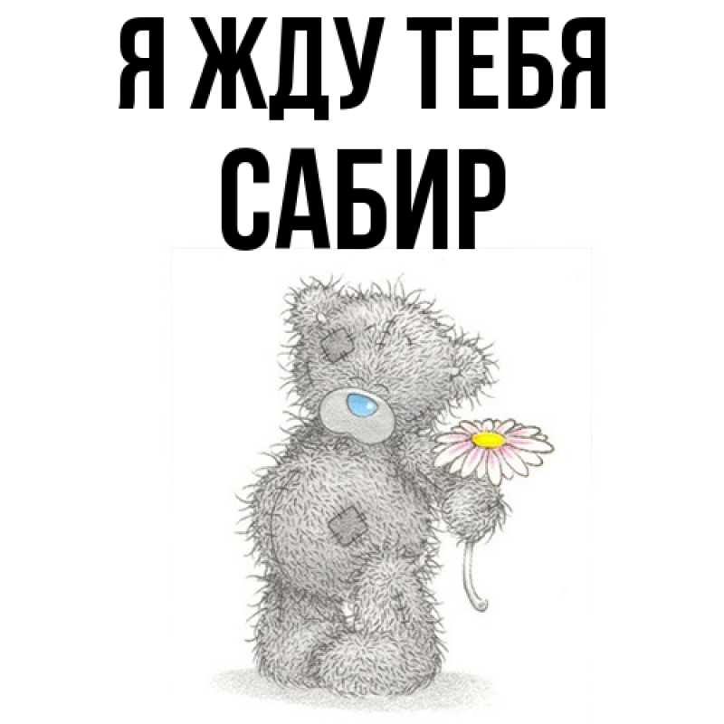 Картинка Я жду тебя, Сабир