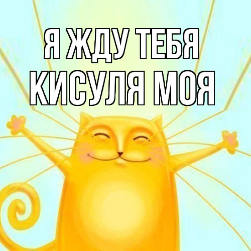 Картинка Я жду тебя, Кисуля моя