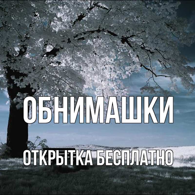 Картинка Обнимашки, открытка бесплатно