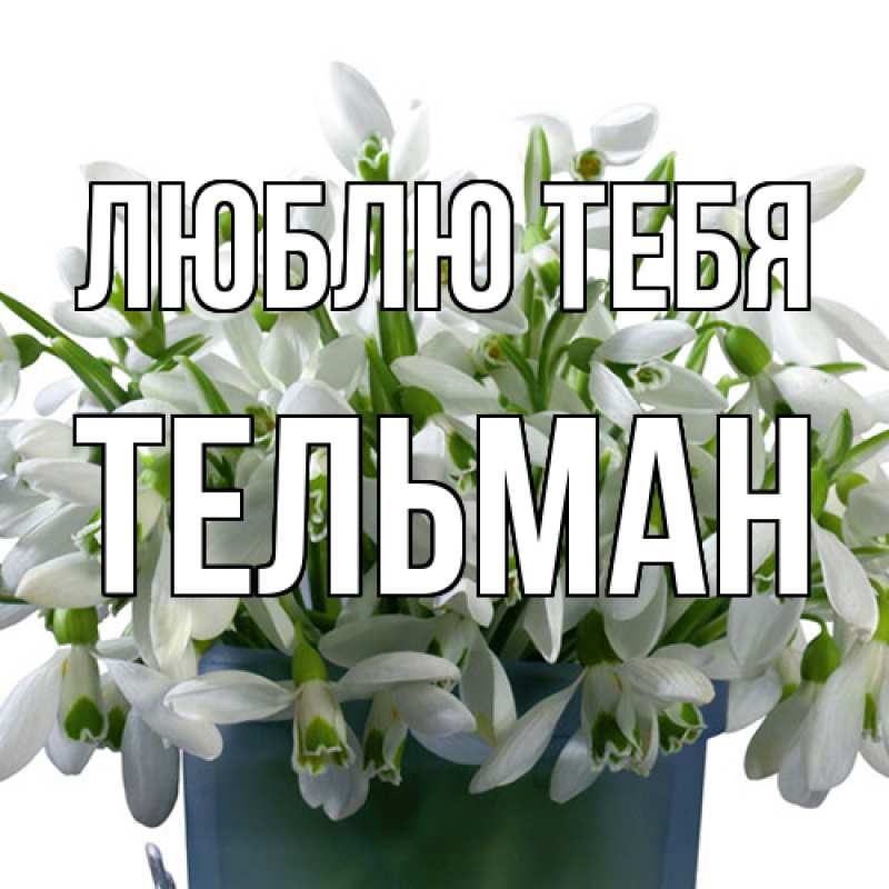 Картинка Люблю тебя, Тельман