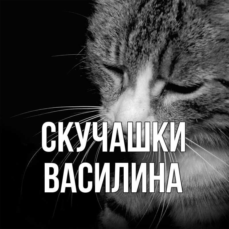 Картинка Скучашки, Василина