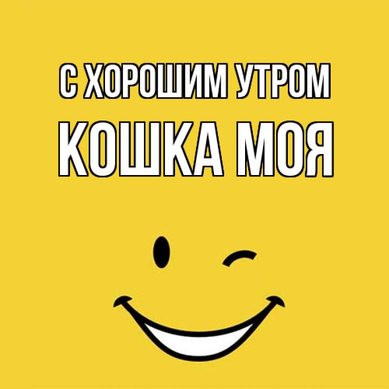 Картинка С хорошим утром, Кошка моя