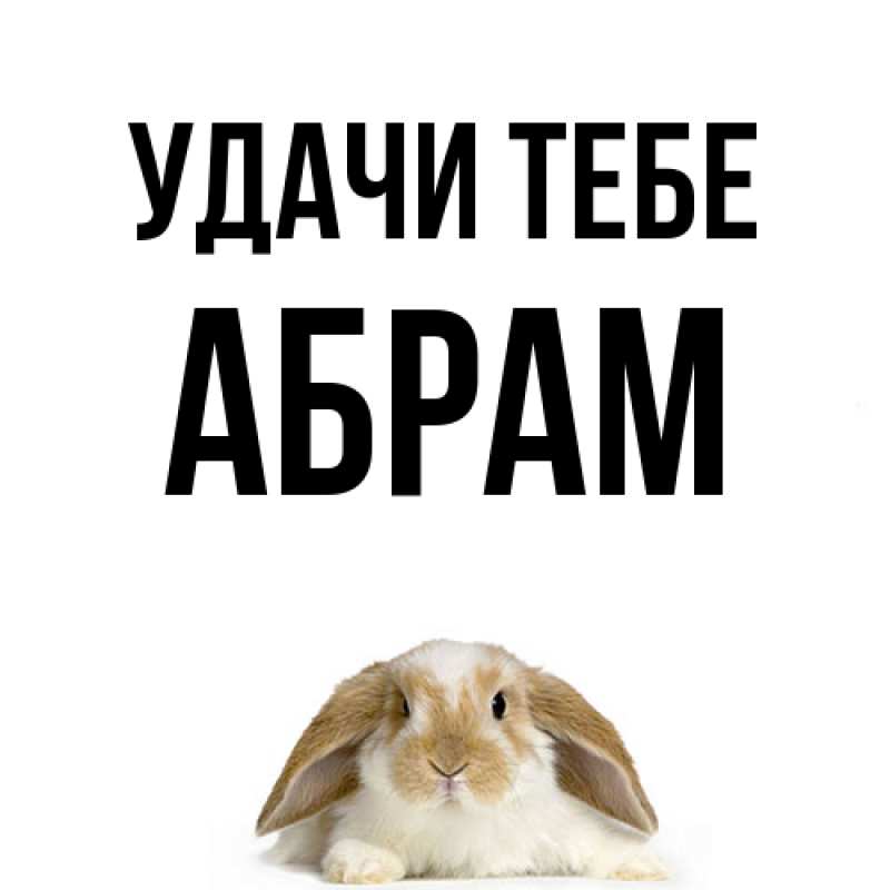 Картинка Удачи тебе, Абрам