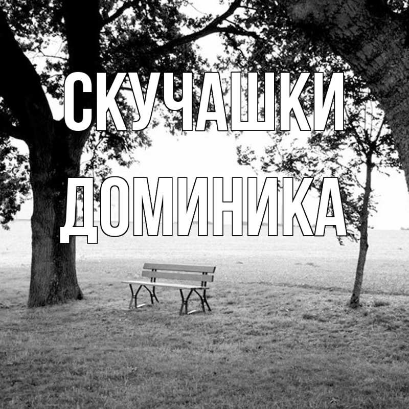 Картинка Скучашки, Доминика