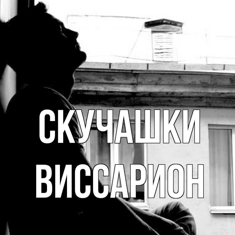 Картинка Скучашки, Виссарион