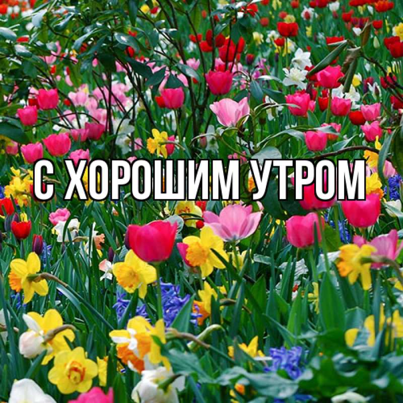 Картинка Люблю тебя, Таня