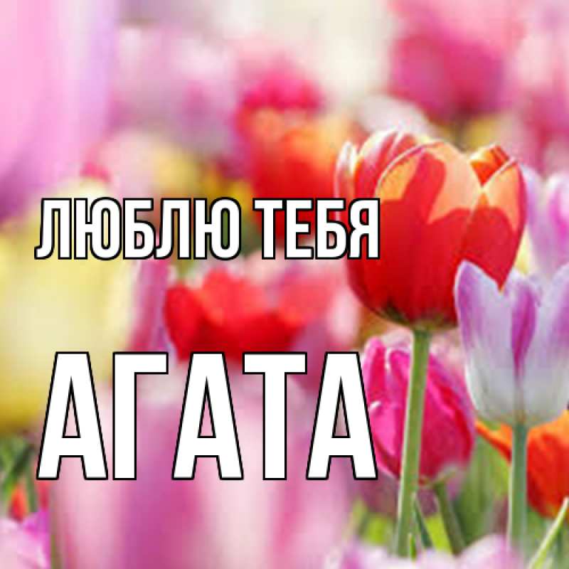 Картинка Люблю тебя, Агата