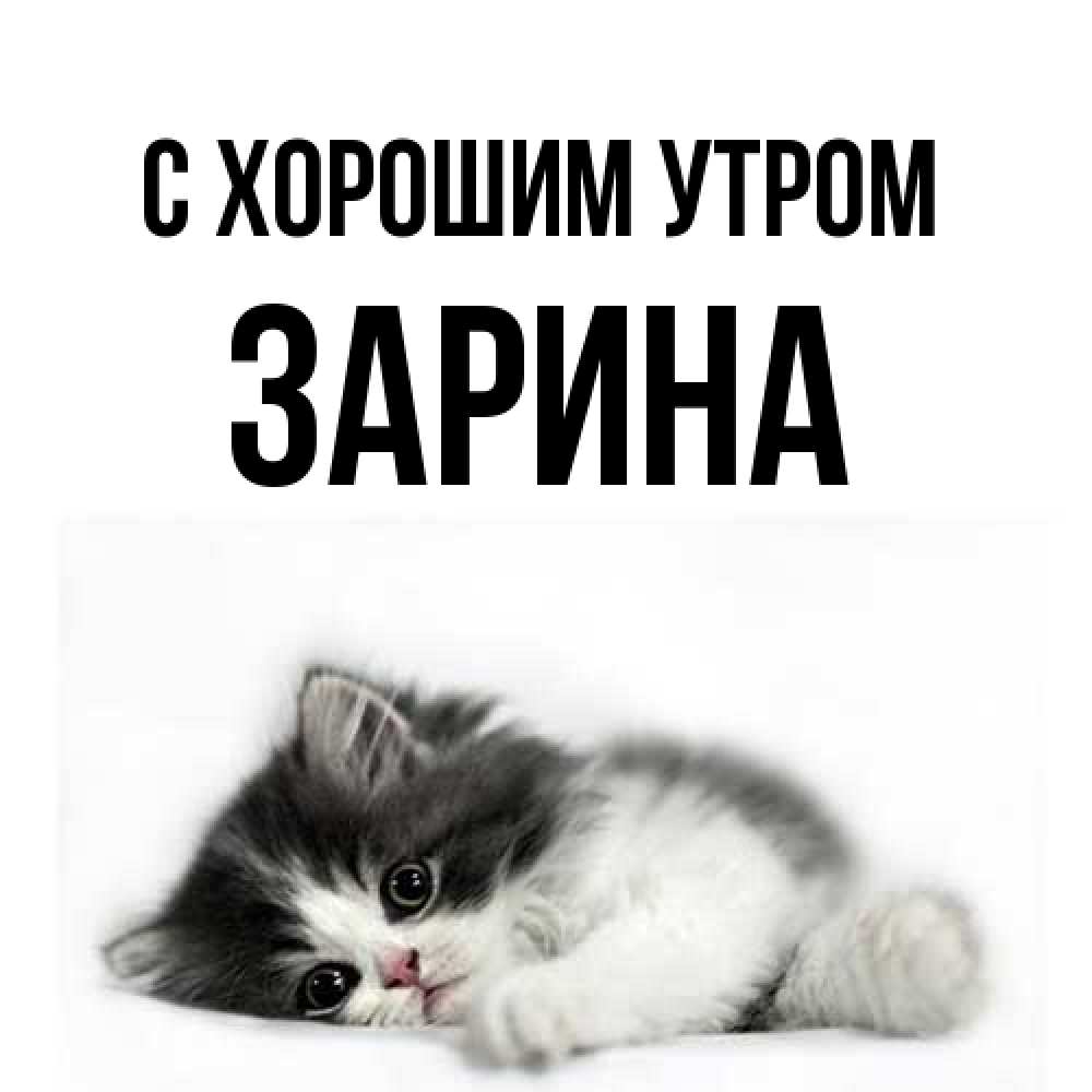 Открытка на каждый день с именем, Зарина С хорошим утром кот лапки Прикольная открытка с пожеланием онлайн скачать бесплатно 