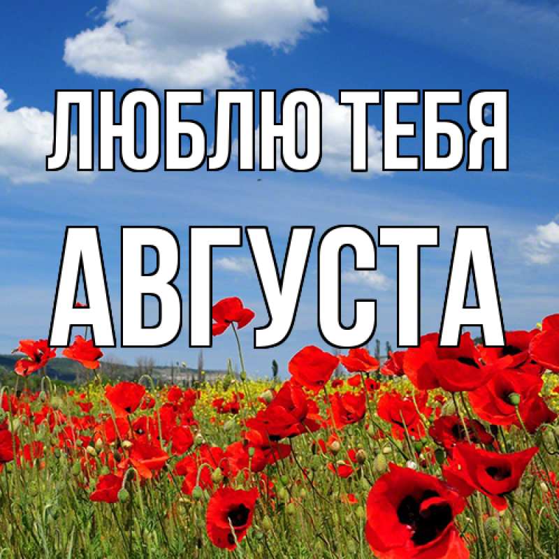 Картинка Люблю тебя, Августа