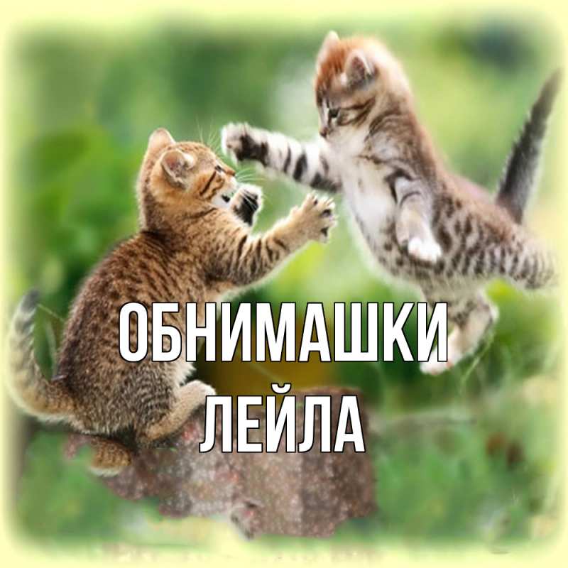 Картинка Обнимашки, Лейла