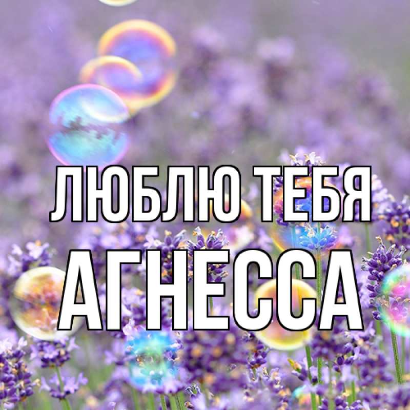 Картинка Люблю тебя, Агнесса