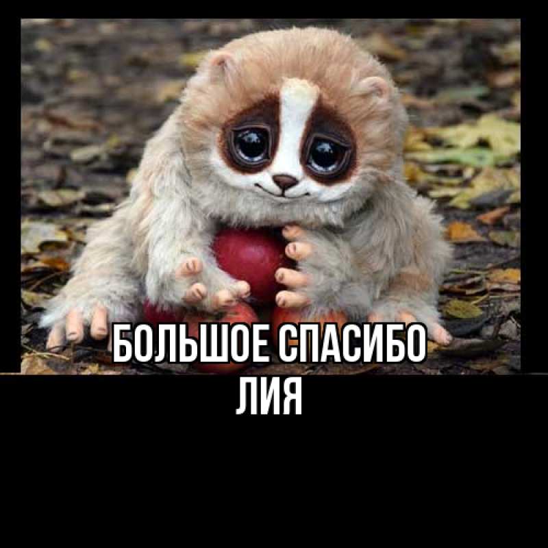Картинка Большое спасибо, Лия