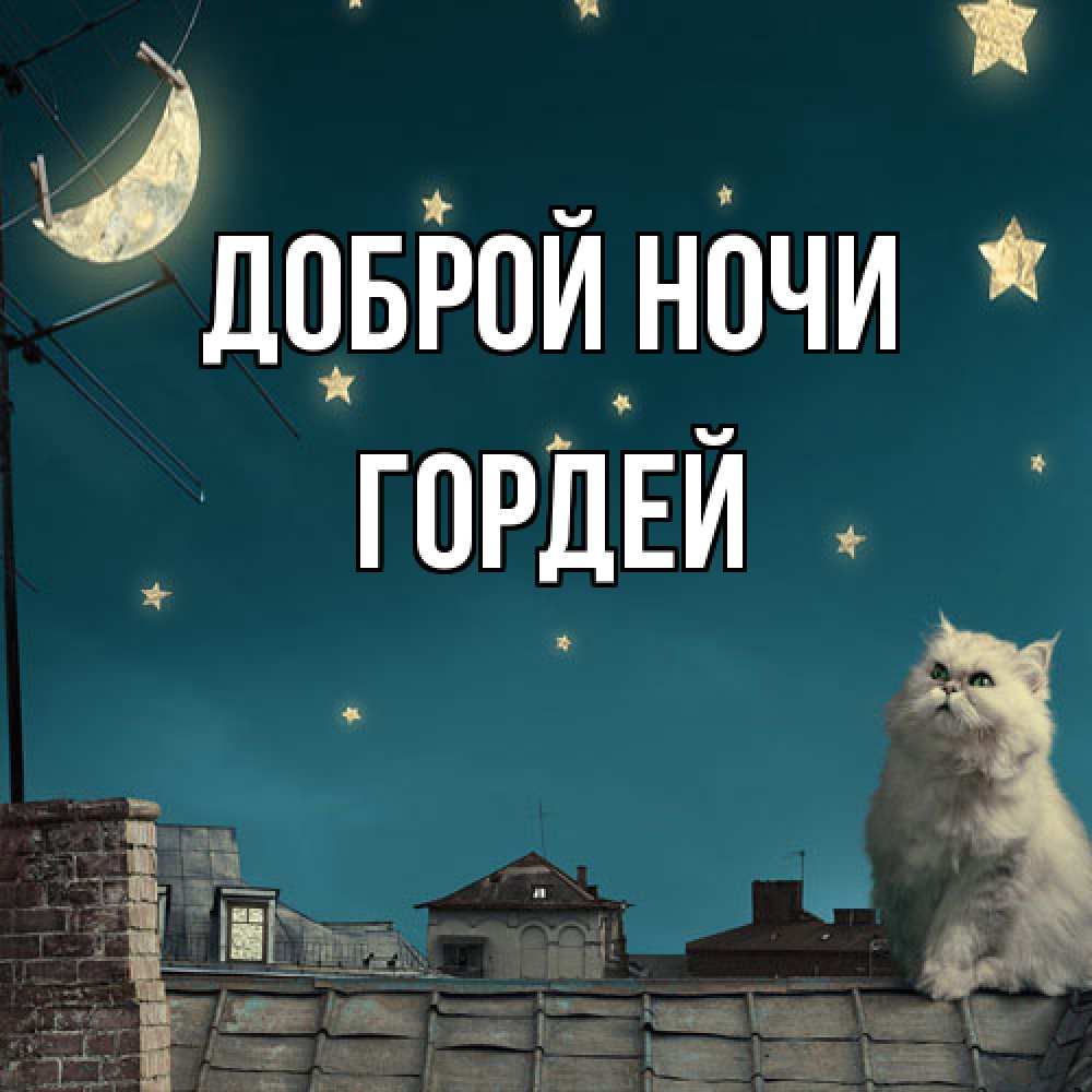 Открытка на каждый день с именем, Гордей Доброй ночи белый кот сидит на крыше Прикольная открытка с пожеланием онлайн скачать бесплатно 