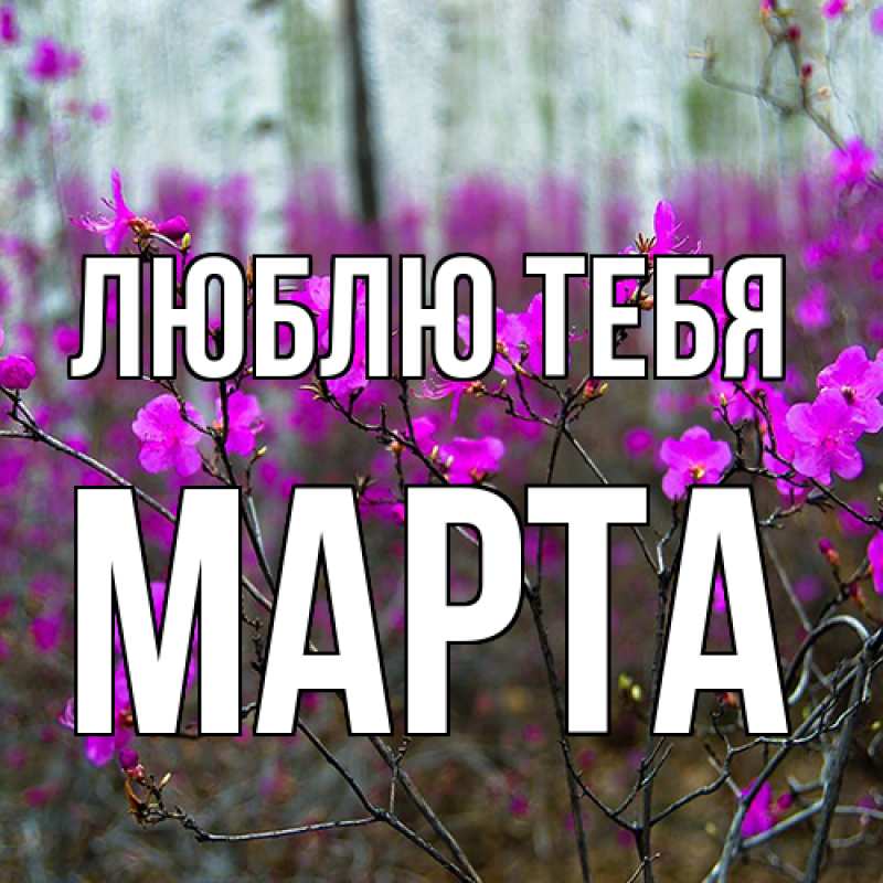 Картинка Люблю тебя, Марта