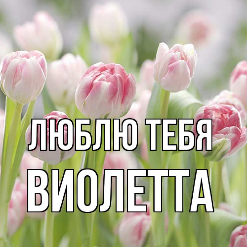 Картинка Люблю тебя, Виолетта