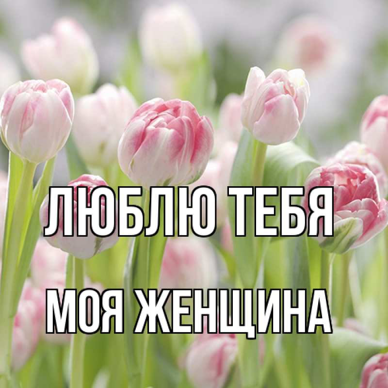 Картинка Люблю тебя, Моя женщина