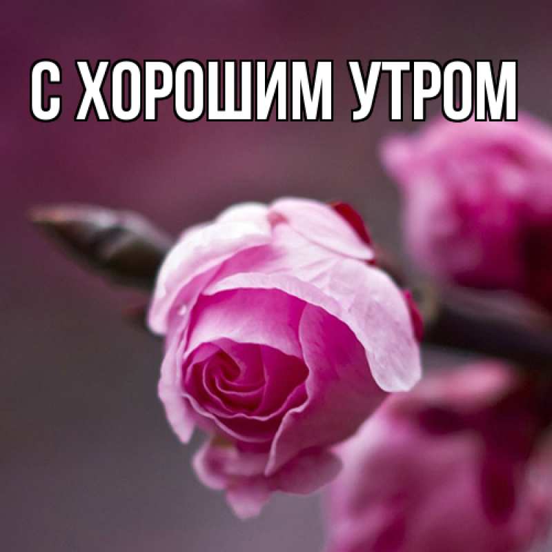 Открытка с именем, Толя, Люблю тебя