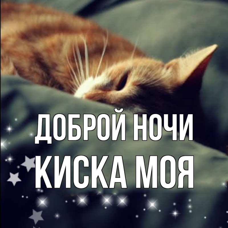 Картинка Доброй ночи, Киска моя