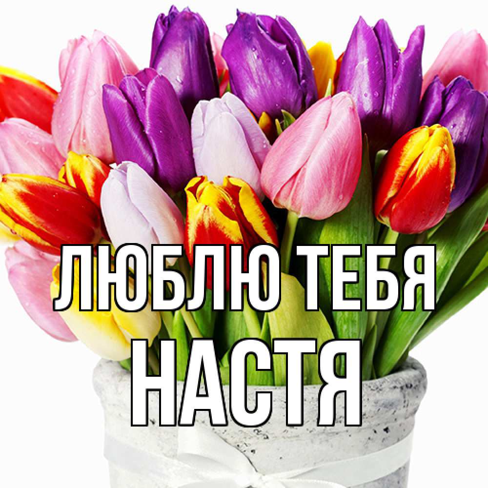 Открытка на каждый день с именем, Настя Люблю тебя букет Прикольная открытка с пожеланием онлайн скачать бесплатно 