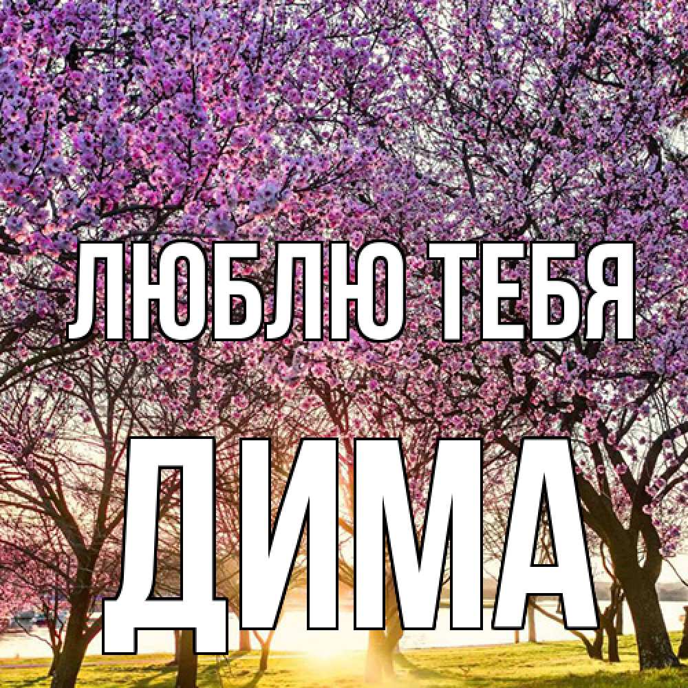 Открытка на каждый день с именем, Дима Люблю тебя международный женский день Прикольная открытка с пожеланием онлайн скачать бесплатно 