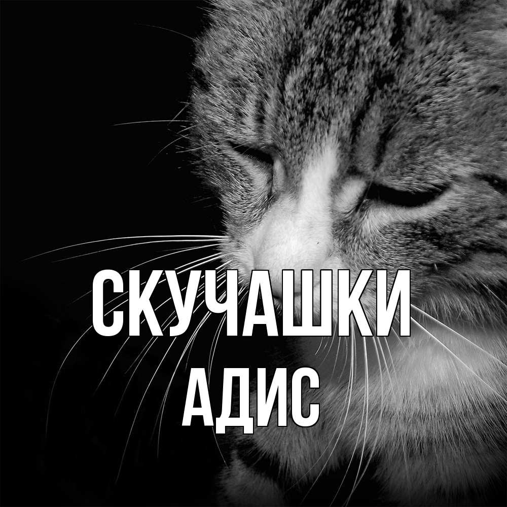 Открытка на каждый день с именем, Адис Скучашки мне скучно Прикольная открытка с пожеланием онлайн скачать бесплатно 