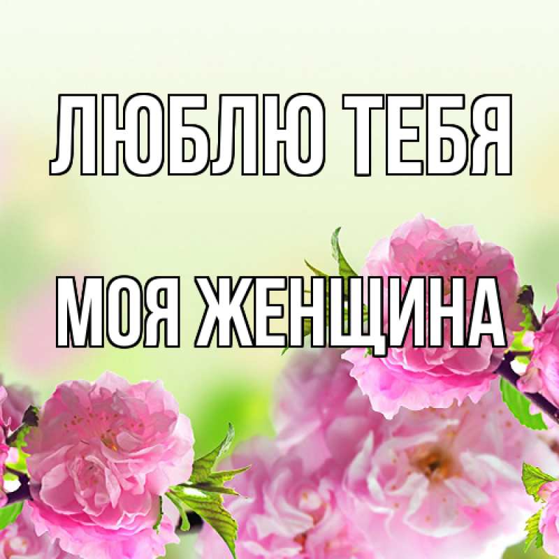 Картинка Люблю тебя, Моя женщина