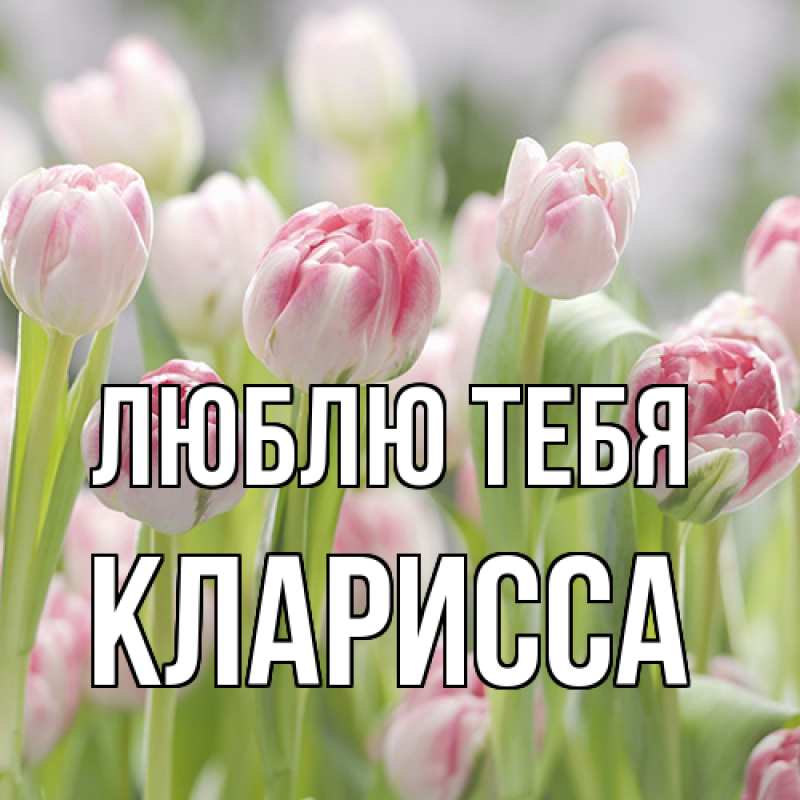 Картинка Люблю тебя, Кларисса