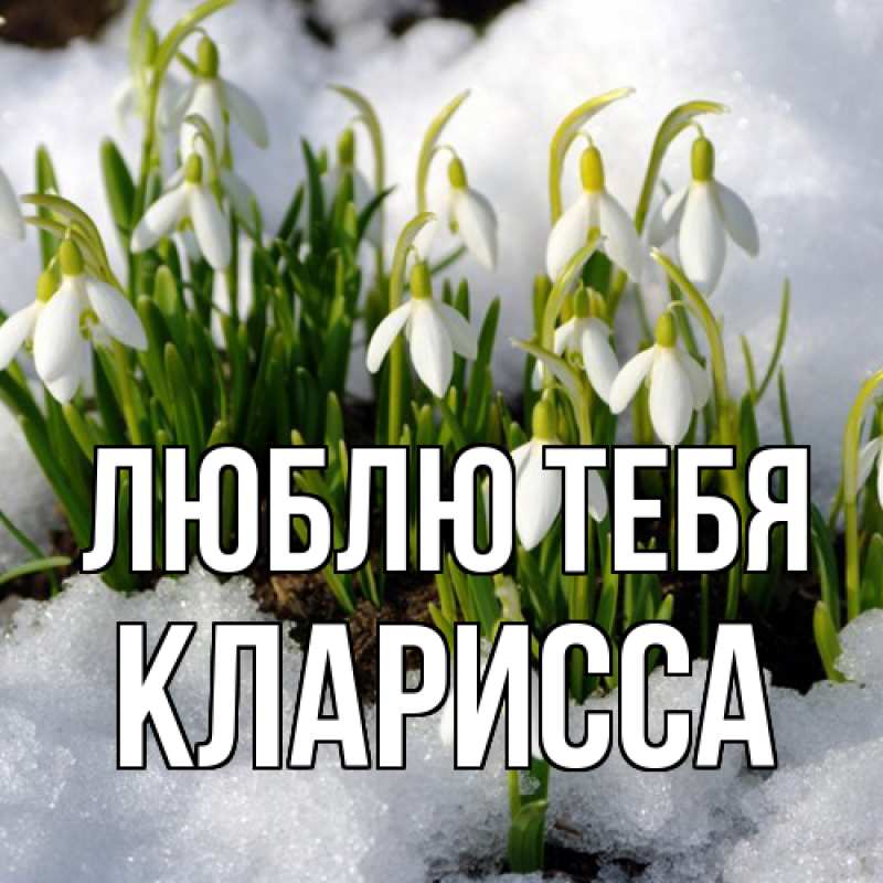 Картинка Люблю тебя, Кларисса