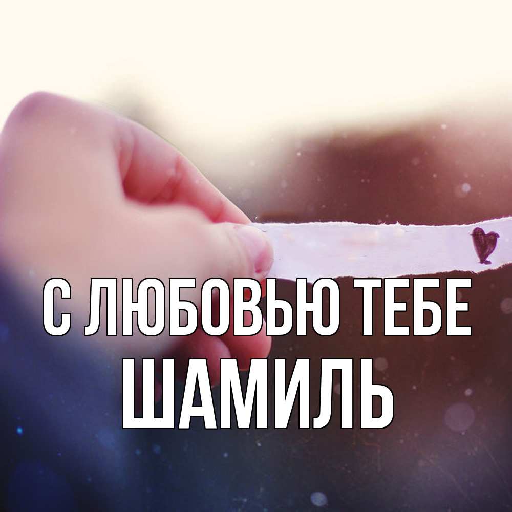 Открытка на каждый день с именем, Шамиль С любовью тебе для тебя Прикольная открытка с пожеланием онлайн скачать бесплатно 