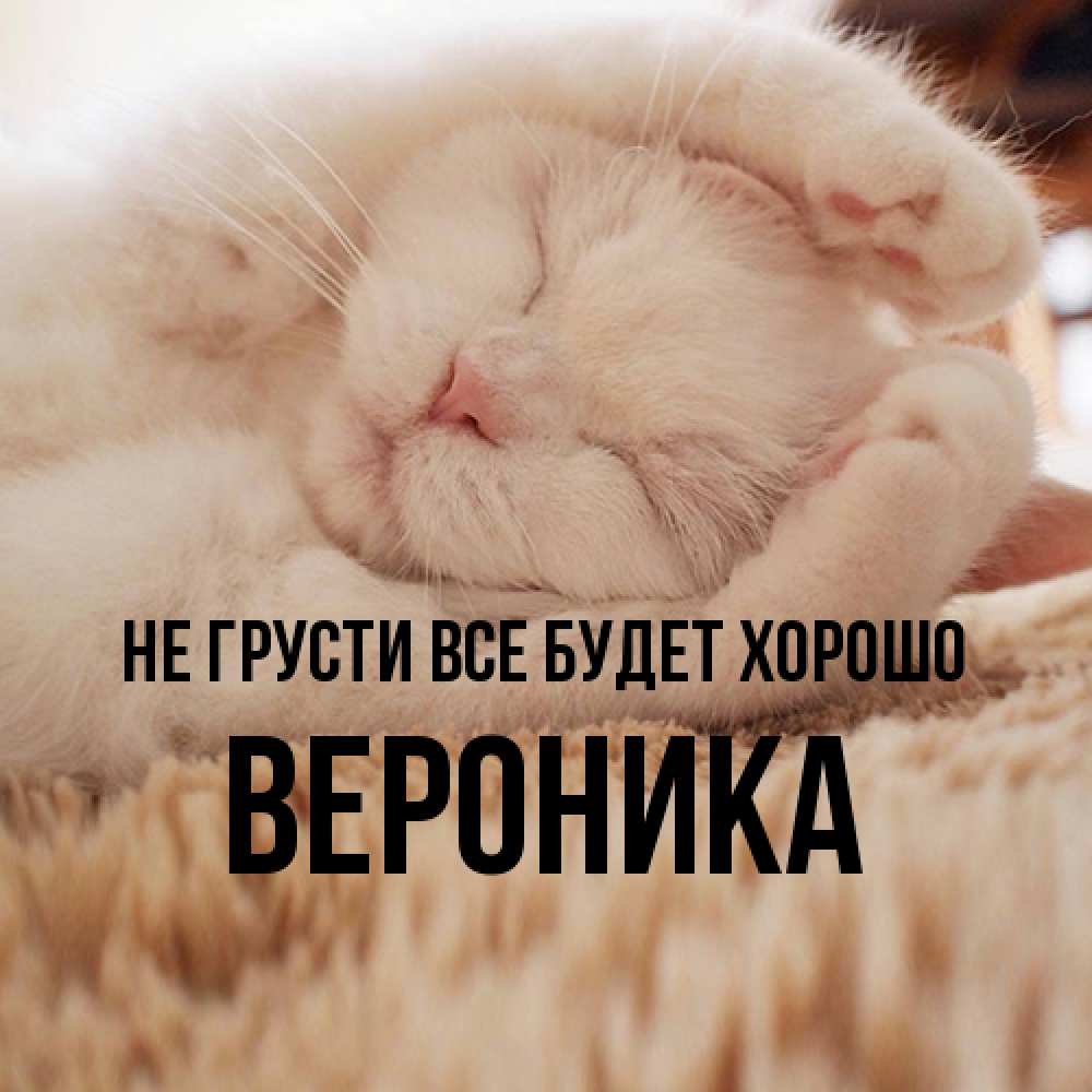 Открытка на каждый день с именем, Вероника Не грусти все будет хорошо Котенок спит Прикольная открытка с пожеланием онлайн скачать бесплатно 