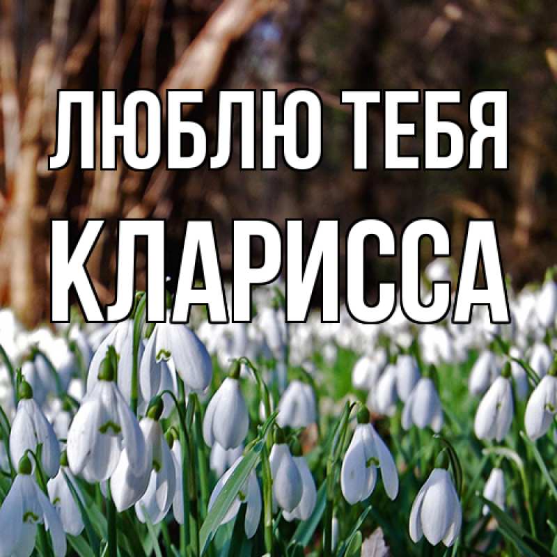 Картинка Люблю тебя, Кларисса