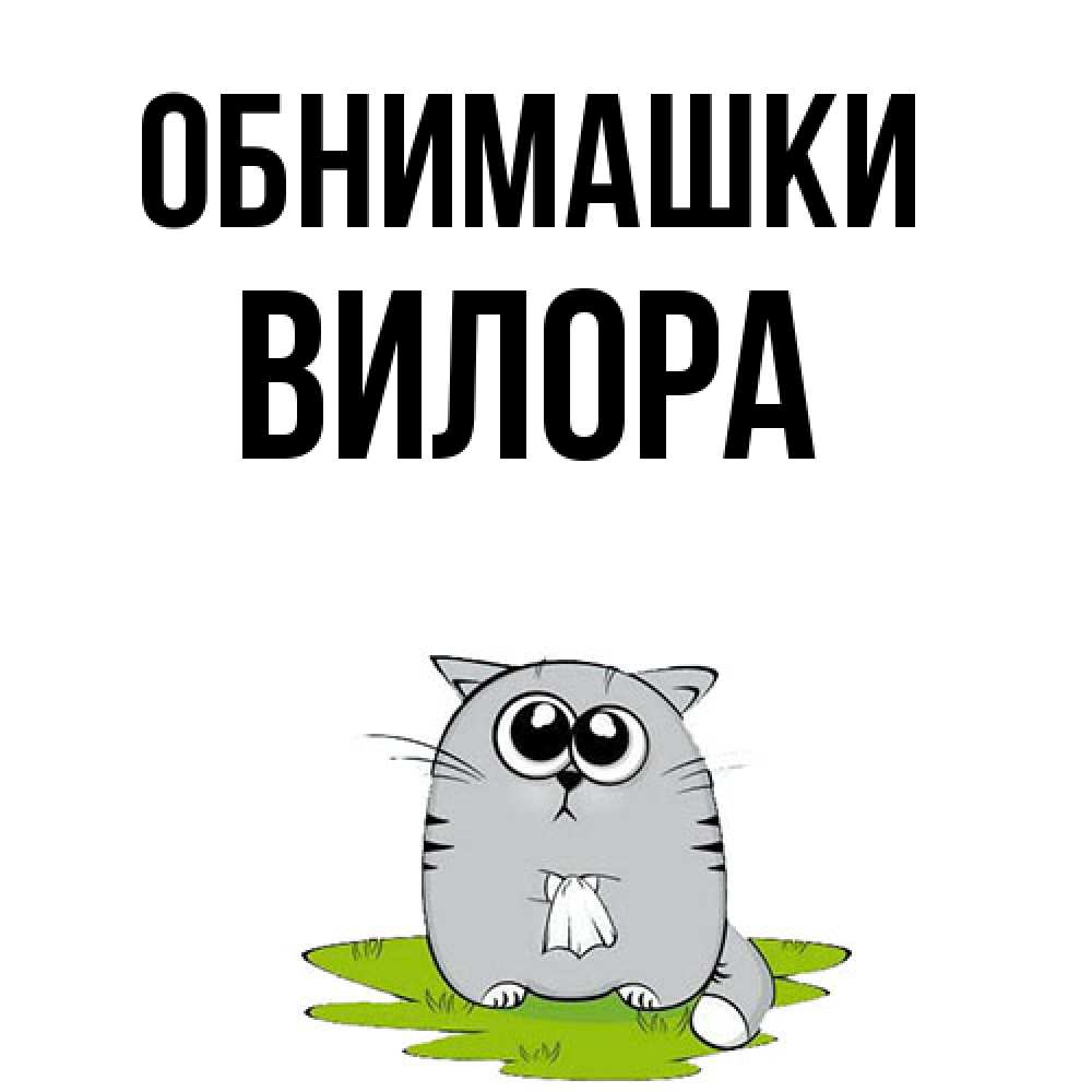 Открытка на каждый день с именем, Вилора Обнимашки котик теребит платочек сидя на травке Прикольная открытка с пожеланием онлайн скачать бесплатно 