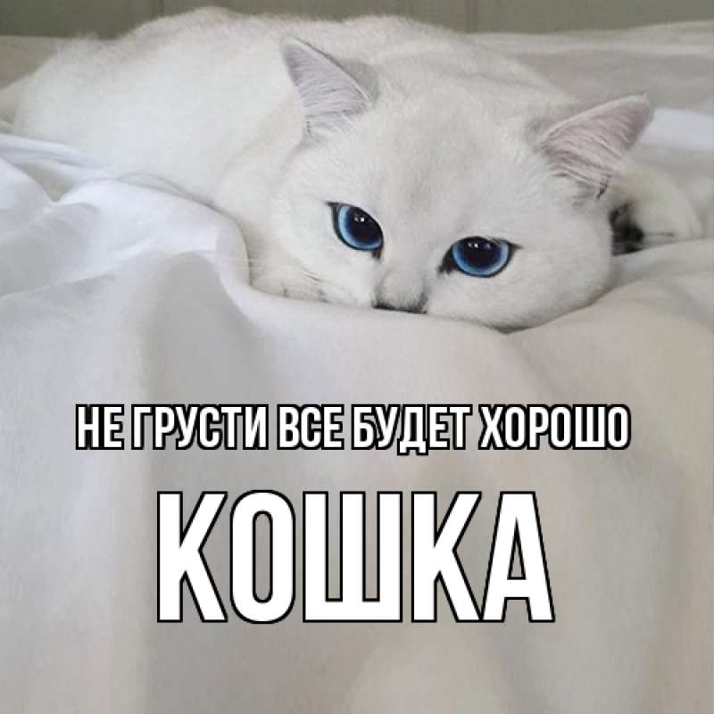 Открытка с именем, Кошка, Не грусти все будет хорошо
