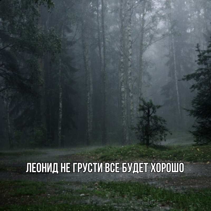 Картинка Не грусти, все будет хорошо, Леонид