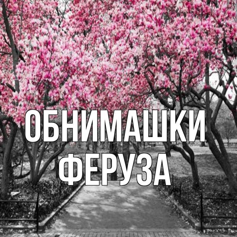 Картинка Обнимашки, Феруза