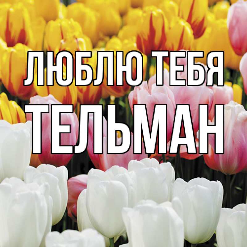 Картинка Люблю тебя, Тельман