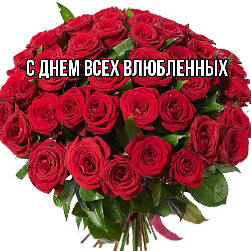 Открытка на каждый день с именем, Галина Большое спасибо букет красных роз Прикольная открытка с пожеланием онлайн скачать бесплатно 