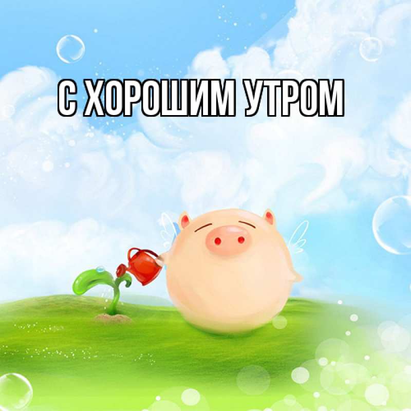Картинка Удачи тебе, Кора
