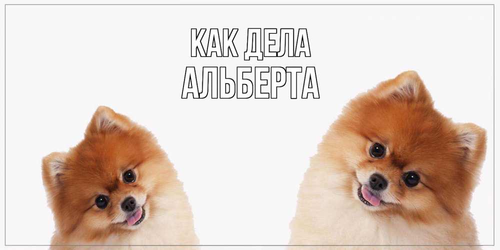 Открытка на каждый день с именем, Альберта Как дела привет Прикольная открытка с пожеланием онлайн скачать бесплатно 