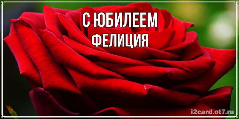 Картинка C юбилеем, Фелиция
