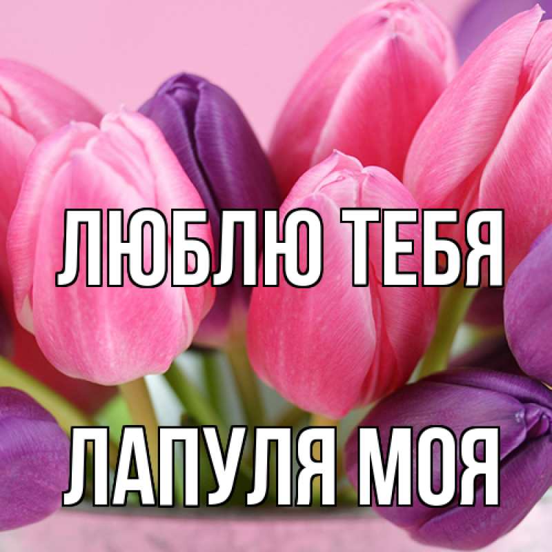 Картинка Люблю тебя, Лапуля моя