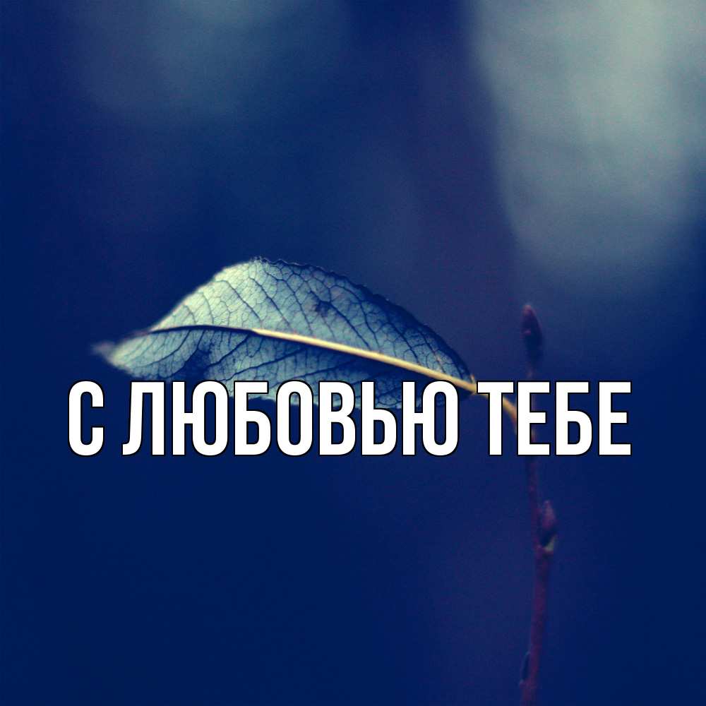 Открытка на каждый день с именем, Аггей Скучашки одна ветка 1 Прикольная открытка с пожеланием онлайн скачать бесплатно 