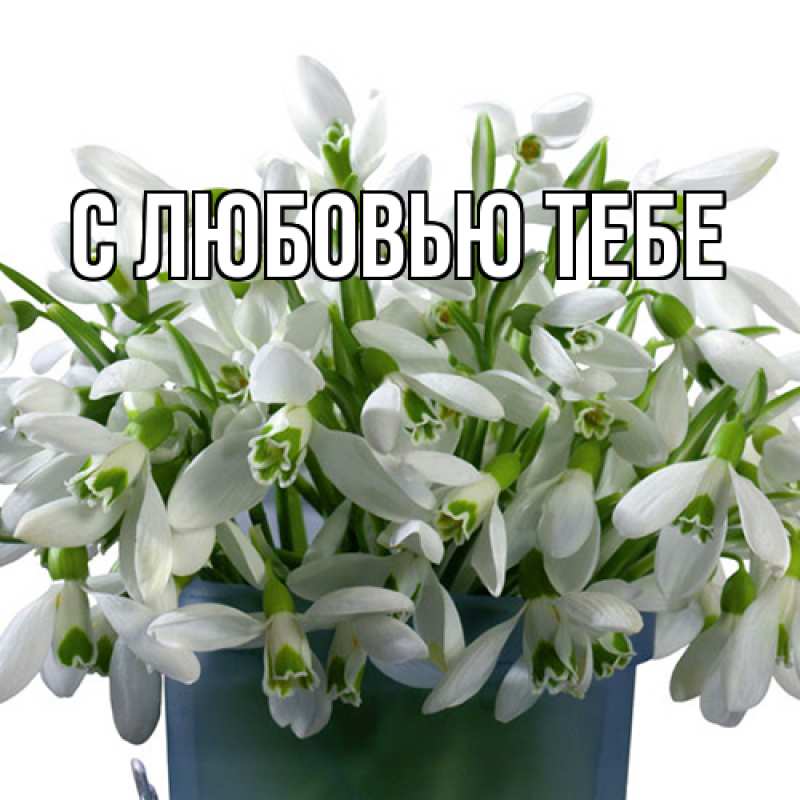 Открытка с именем, Яна, Люблю тебя
